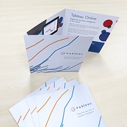 2 Fold Brochure.jpg