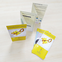 4 Fold Zig Zag Brochure.jpg